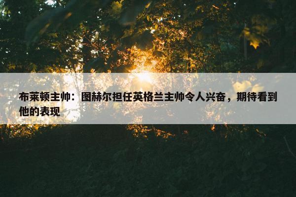 布莱顿主帅：图赫尔担任英格兰主帅令人兴奋，期待看到他的表现