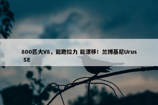 800匹大V8，能跑拉力 能漂移！兰博基尼Urus SE