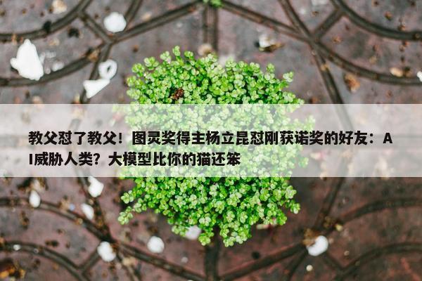 教父怼了教父！图灵奖得主杨立昆怼刚获诺奖的好友：AI威胁人类？大模型比你的猫还笨