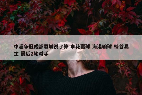 中超争冠成都蓉城说了算 申花赢球 海港输球 榜首易主 最后2轮对手