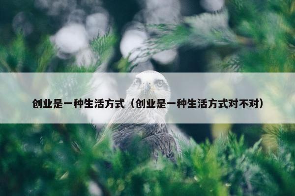 创业是一种生活方式（创业是一种生活方式对不对）