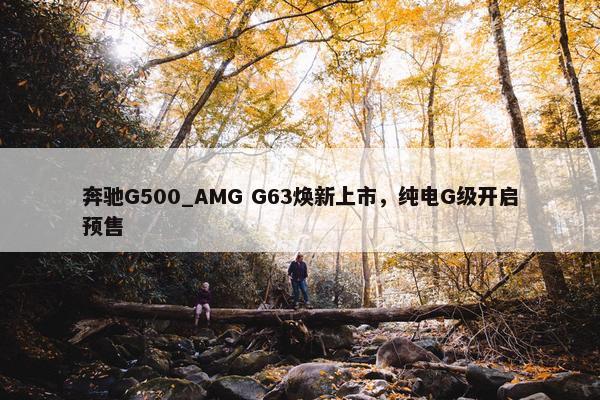 奔驰G500_AMG G63焕新上市，纯电G级开启预售