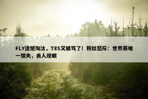 FLY遗憾淘汰，TES又被骂了！粉丝怒斥：世界赛唯一懦夫，丢人现眼