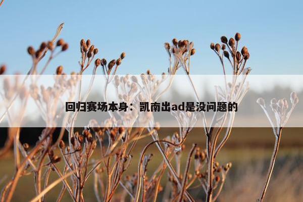 回归赛场本身：凯南出ad是没问题的