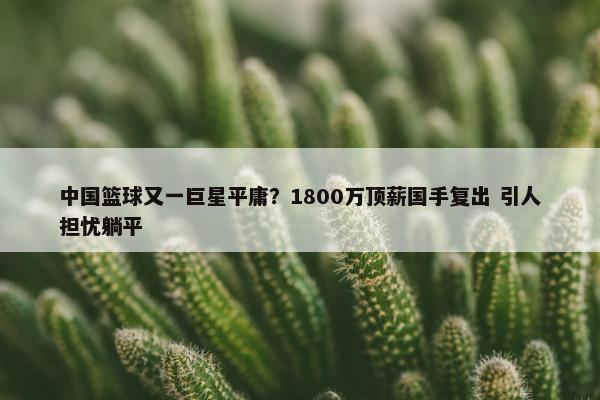 中国篮球又一巨星平庸？1800万顶薪国手复出 引人担忧躺平