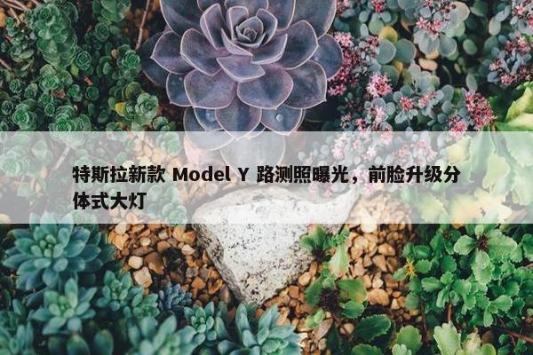 特斯拉新款 Model Y 路测照曝光，前脸升级分体式大灯