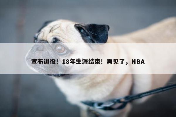 宣布退役！18年生涯结束！再见了，NBA