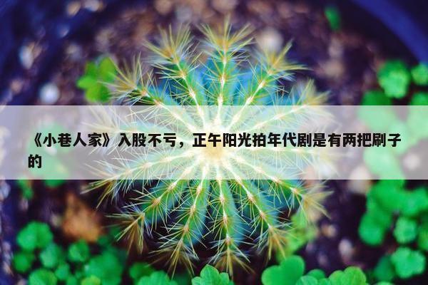 《小巷人家》入股不亏，正午阳光拍年代剧是有两把刷子的