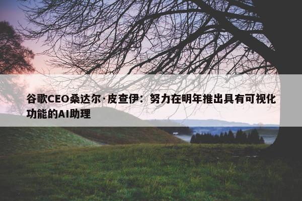 谷歌CEO桑达尔·皮查伊：努力在明年推出具有可视化功能的AI助理