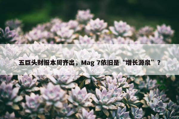 五巨头财报本周齐出，Mag 7依旧是“增长源泉”？