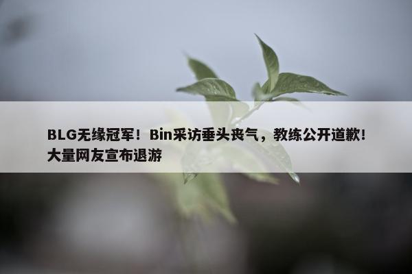 BLG无缘冠军！Bin采访垂头丧气，教练公开道歉！大量网友宣布退游