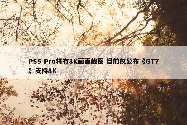 PS5 Pro将有8K画面截图 目前仅公布《GT7》支持8K