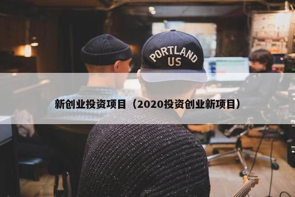 新创业投资项目（2020投资创业新项目）