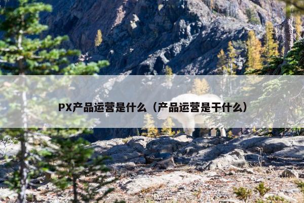 PX产品运营是什么（产品运营是干什么）