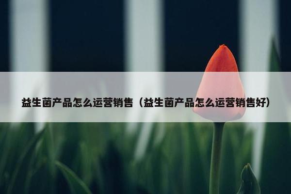 益生菌产品怎么运营销售（益生菌产品怎么运营销售好）