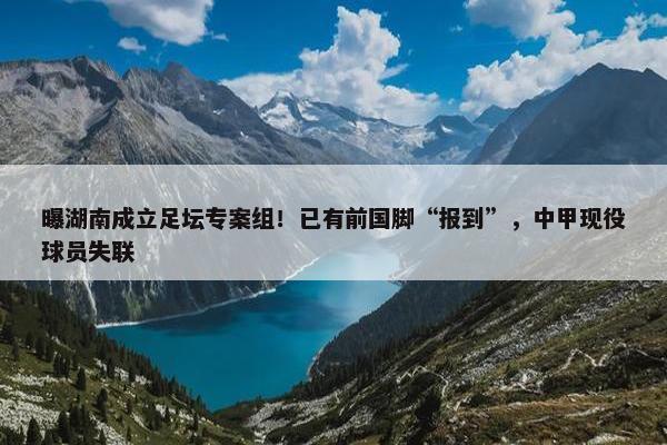 曝湖南成立足坛专案组！已有前国脚“报到”，中甲现役球员失联