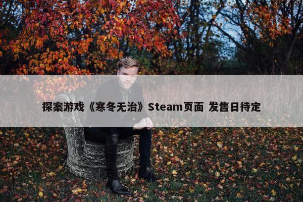 探案游戏《寒冬无治》Steam页面 发售日待定