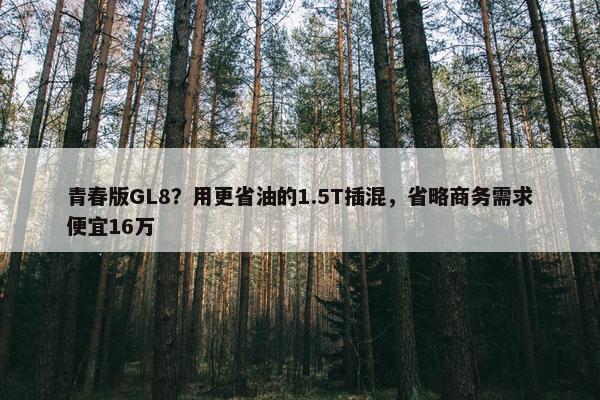 青春版GL8？用更省油的1.5T插混，省略商务需求便宜16万