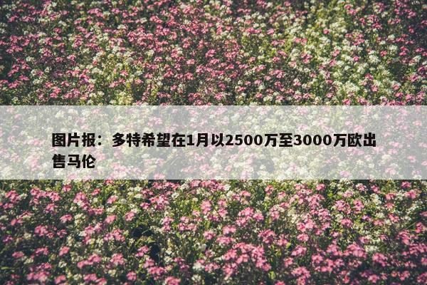 图片报：多特希望在1月以2500万至3000万欧出售马伦