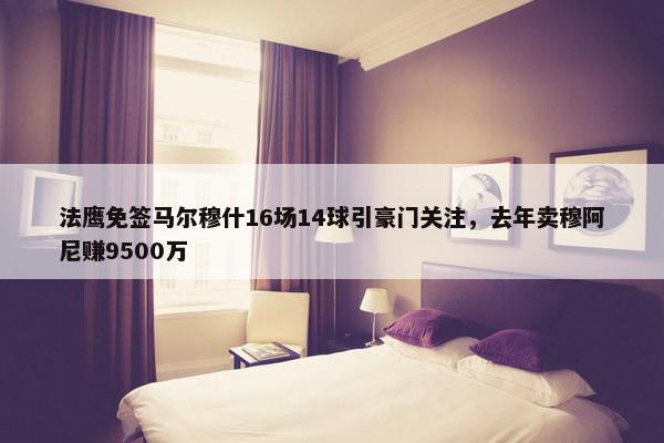 法鹰免签马尔穆什16场14球引豪门关注，去年卖穆阿尼赚9500万