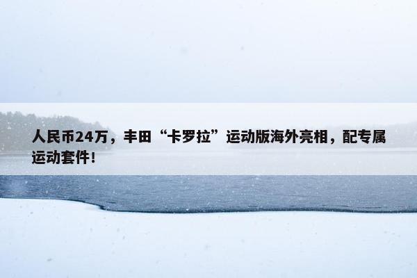 人民币24万，丰田“卡罗拉”运动版海外亮相，配专属运动套件！