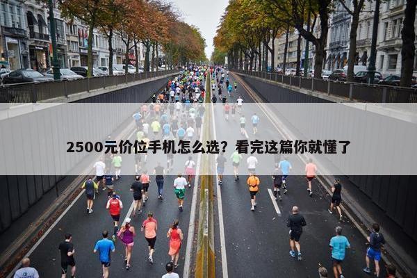 2500元价位手机怎么选？看完这篇你就懂了