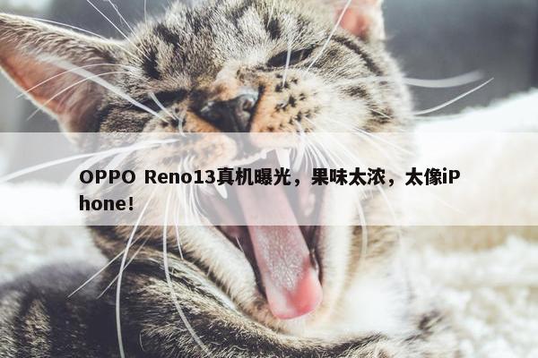 OPPO Reno13真机曝光，果味太浓，太像iPhone！