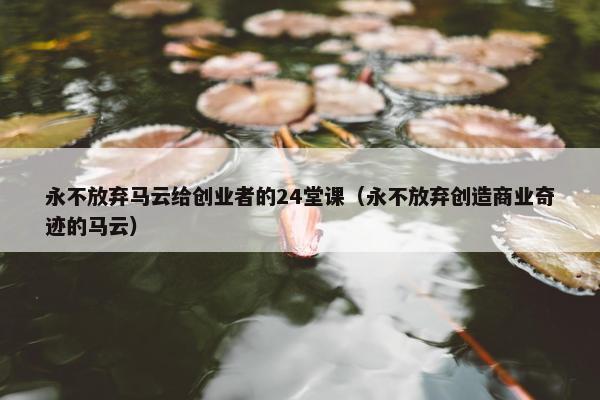 永不放弃马云给创业者的24堂课（永不放弃创造商业奇迹的马云）