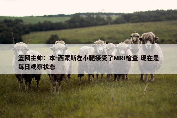 篮网主帅：本-西蒙斯左小腿接受了MRI检查 现在是每日观察状态