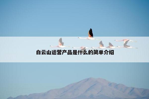 白云山运营产品是什么的简单介绍