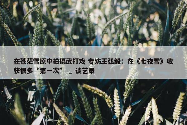 在苍茫雪原中拍摄武打戏 专访王弘毅：在《七夜雪》收获很多“第一次” _ 谈艺录