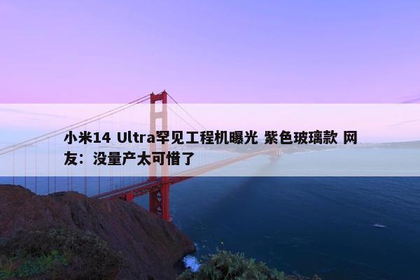 小米14 Ultra罕见工程机曝光 紫色玻璃款 网友：没量产太可惜了