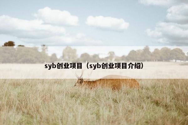 syb创业项目（syb创业项目介绍）