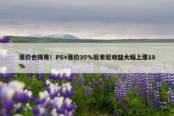 涨价也得用！PS+涨价35%后索尼收益大幅上涨18%