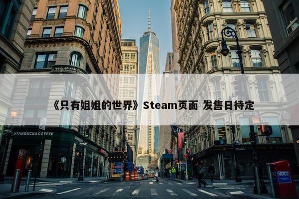 《只有姐姐的世界》Steam页面 发售日待定