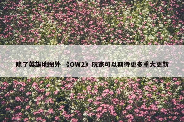 除了英雄地图外 《OW2》玩家可以期待更多重大更新