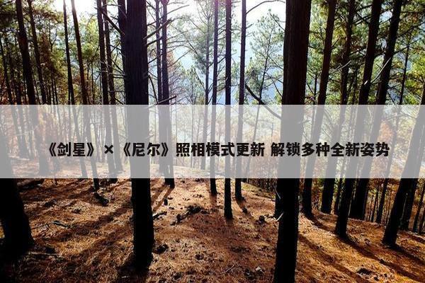 《剑星》×《尼尔》照相模式更新 解锁多种全新姿势