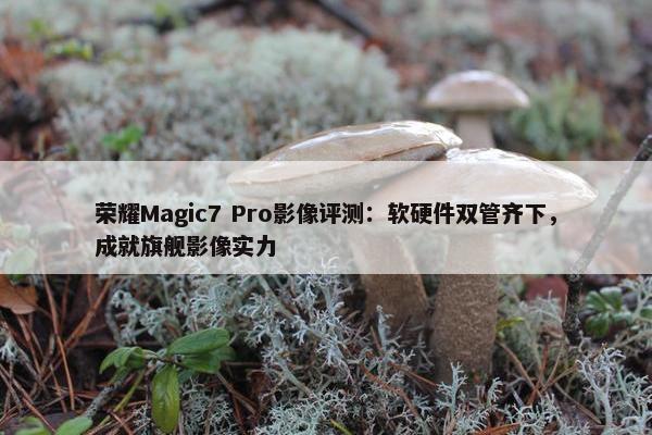 荣耀Magic7 Pro影像评测：软硬件双管齐下，成就旗舰影像实力