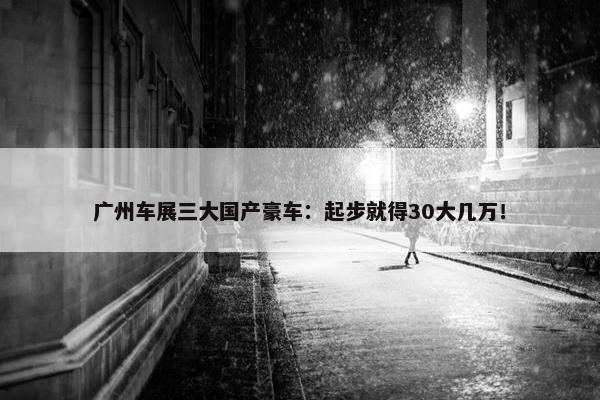 广州车展三大国产豪车：起步就得30大几万！