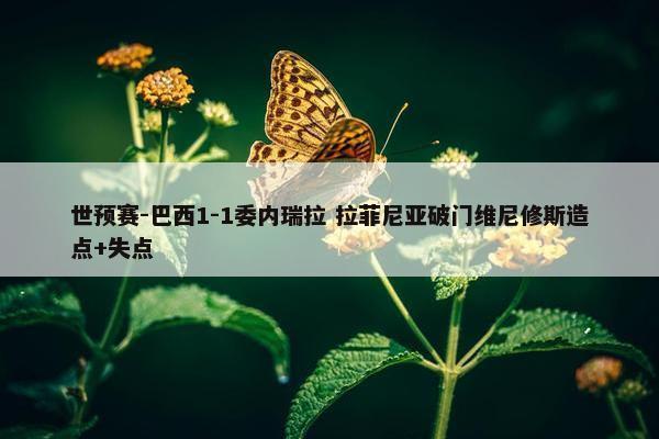 世预赛-巴西1-1委内瑞拉 拉菲尼亚破门维尼修斯造点+失点