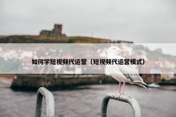 如何学短视频代运营（短视频代运营模式）