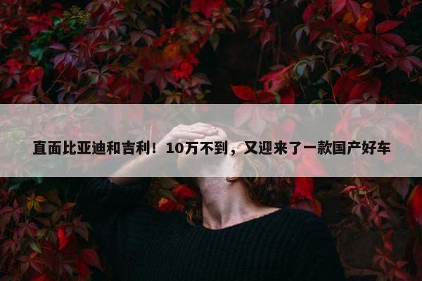 直面比亚迪和吉利！10万不到，又迎来了一款国产好车