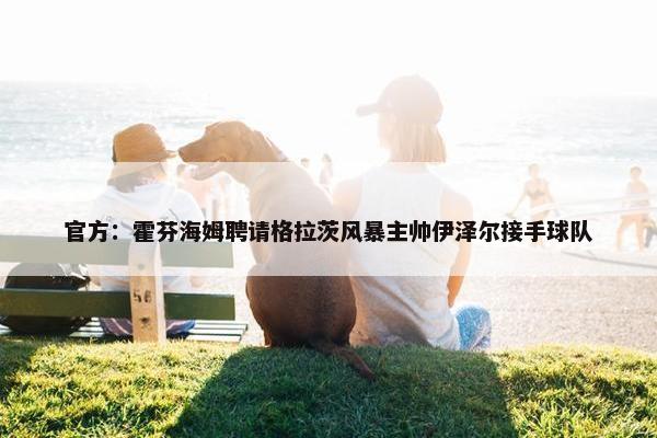 官方：霍芬海姆聘请格拉茨风暴主帅伊泽尔接手球队