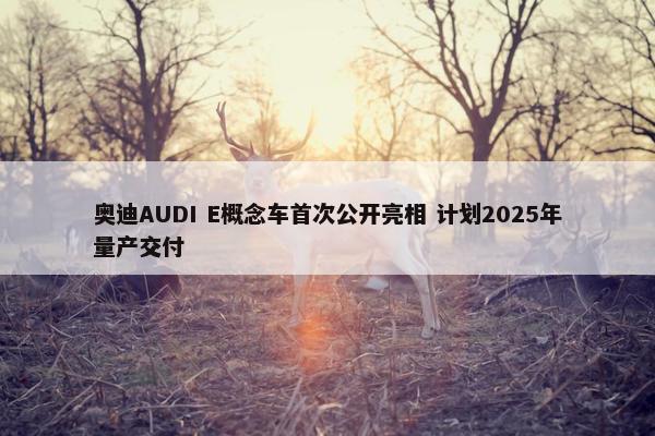 奥迪AUDI E概念车首次公开亮相 计划2025年量产交付