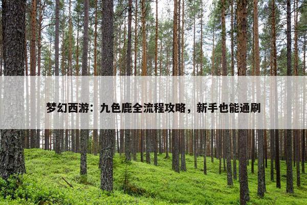 梦幻西游：九色鹿全流程攻略，新手也能通刷