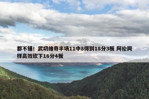 都不错！武切维奇半场11中8得到18分3板 阿伦同样高效砍下16分4板