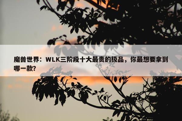 魔兽世界：WLK三阶段十大最贵的极品，你最想要拿到哪一款？