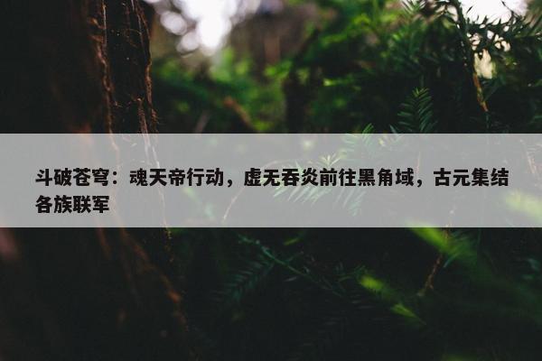 斗破苍穹：魂天帝行动，虚无吞炎前往黑角域，古元集结各族联军