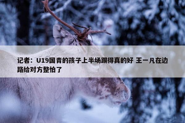 记者：U19国青的孩子上半场踢得真的好 王一凡在边路给对方整怕了