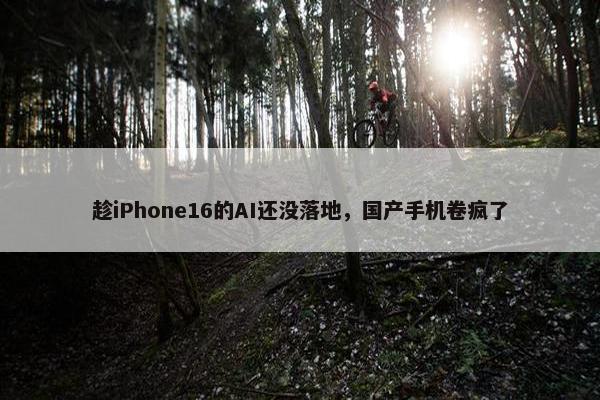 趁iPhone16的AI还没落地，国产手机卷疯了